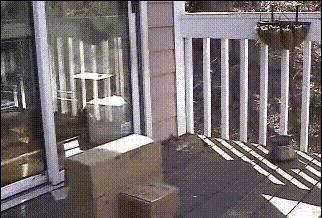 搞笑gif动图怎么玩很有意思,搞笑gif趣图眼见不一定为实啊