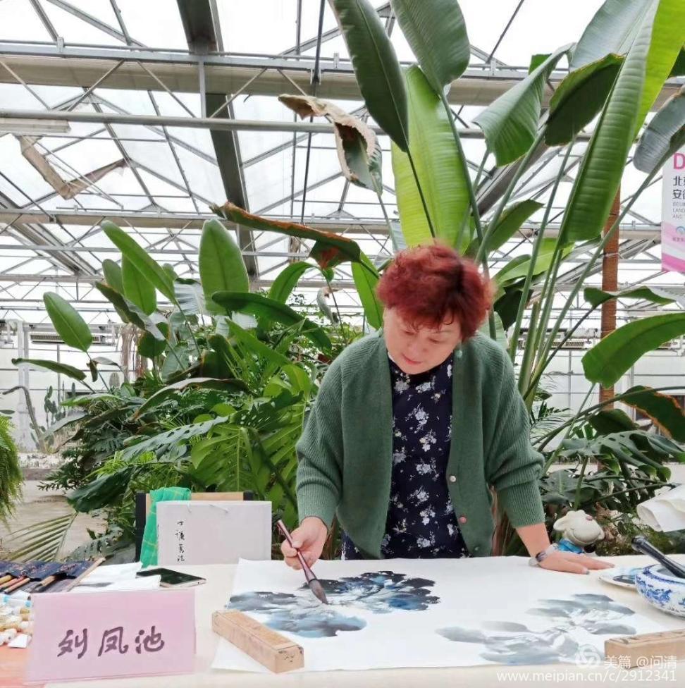 浦上生绿烟，波底荡红云，画家刘凤池水墨荷花别样红