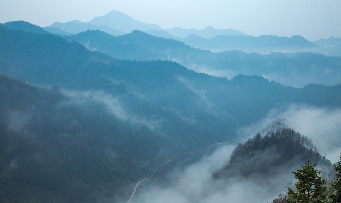 歙县观赏油菜花经典路线,歙县自驾游婺源看油菜花车停哪里