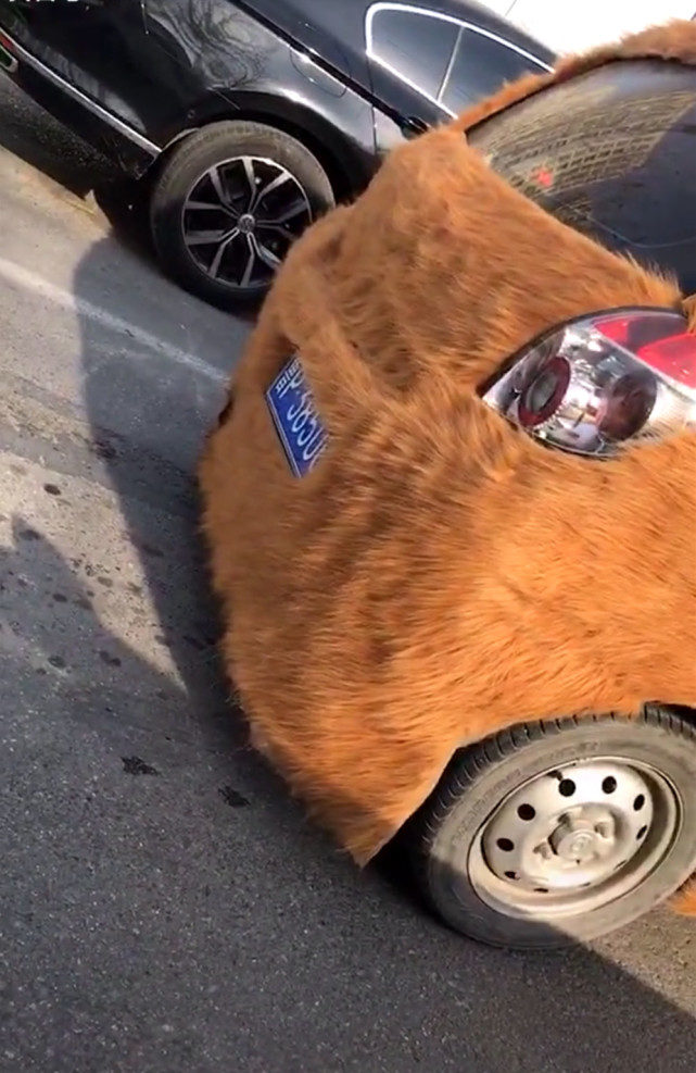 汽车都穿上皮草了，我们还有什么理由不努力？