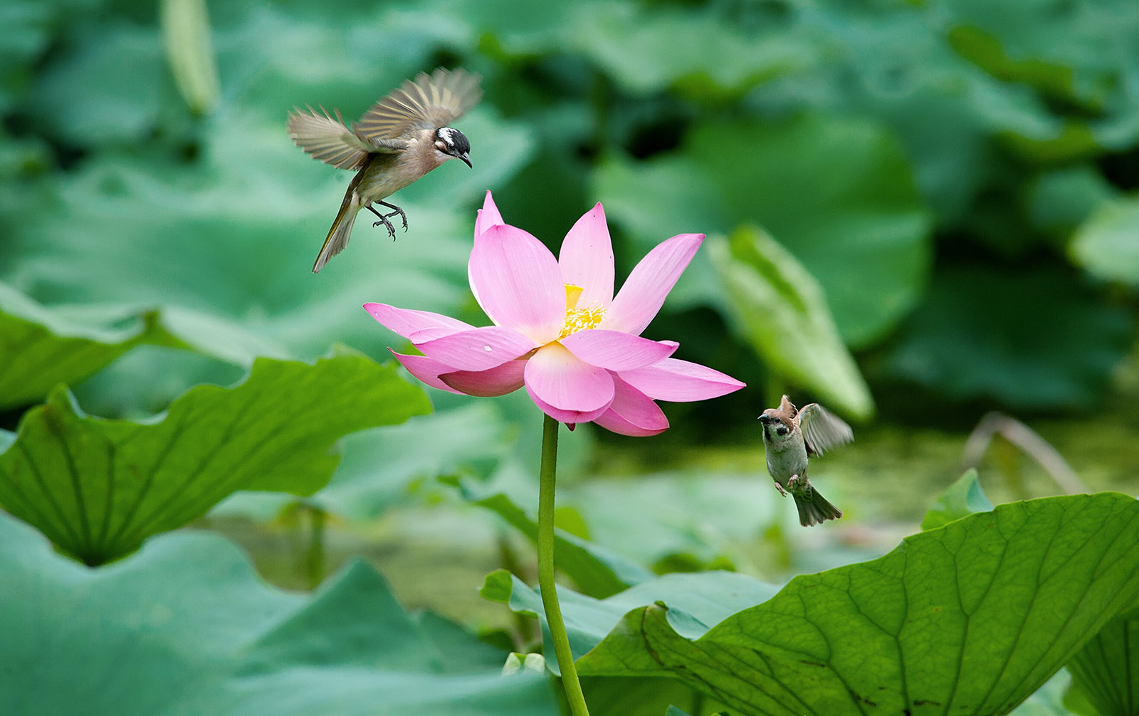 关于二手设备的问题,关于二手东西