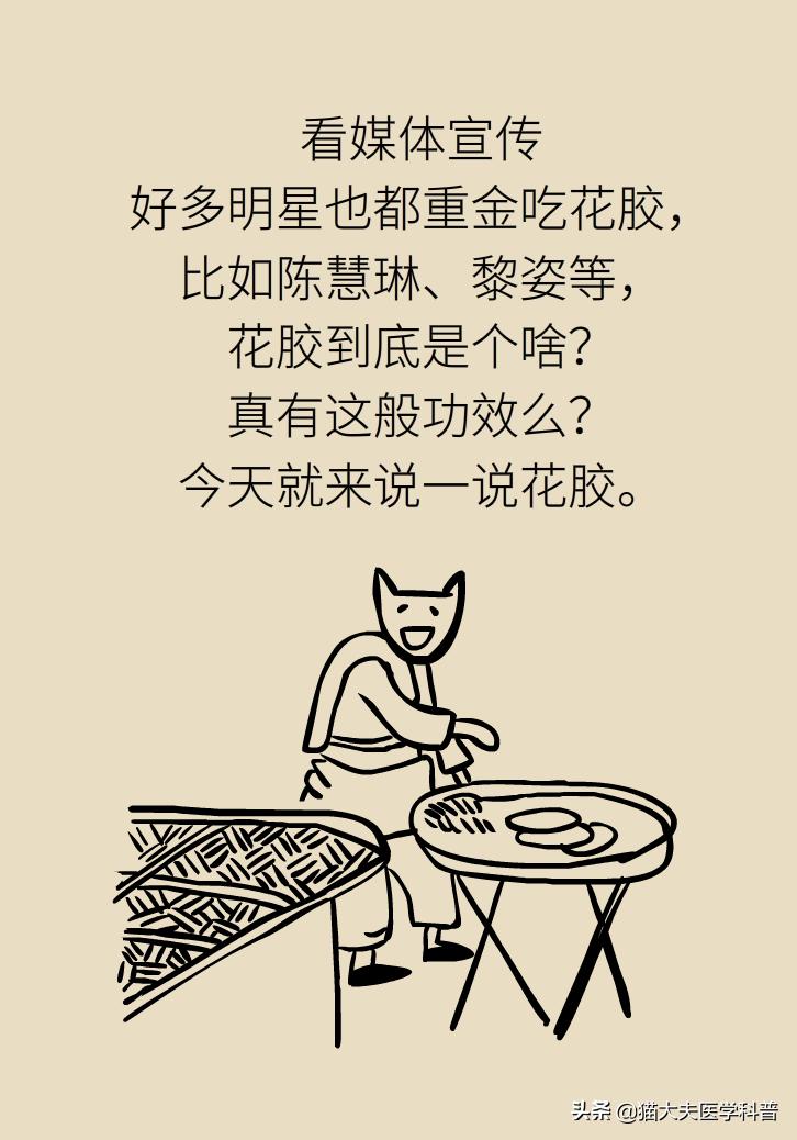 明星吃花胶,花胶的功效与作用排行榜