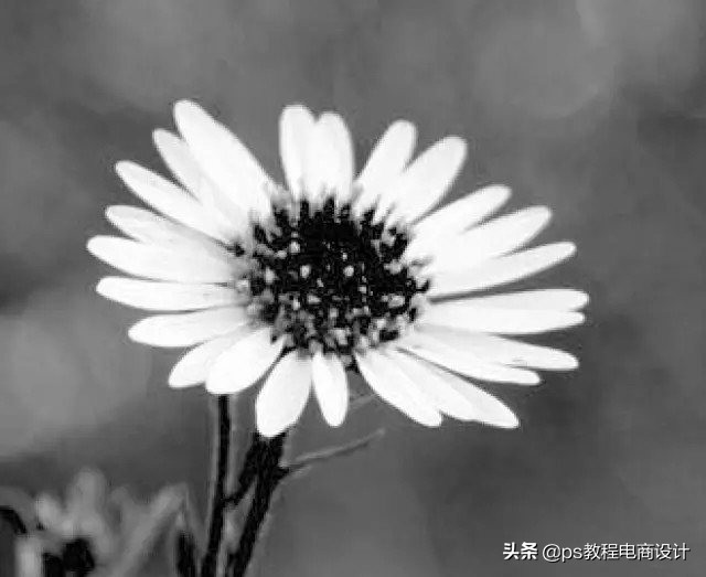 快速抠图ps人物头发,2021版ps快速抠图