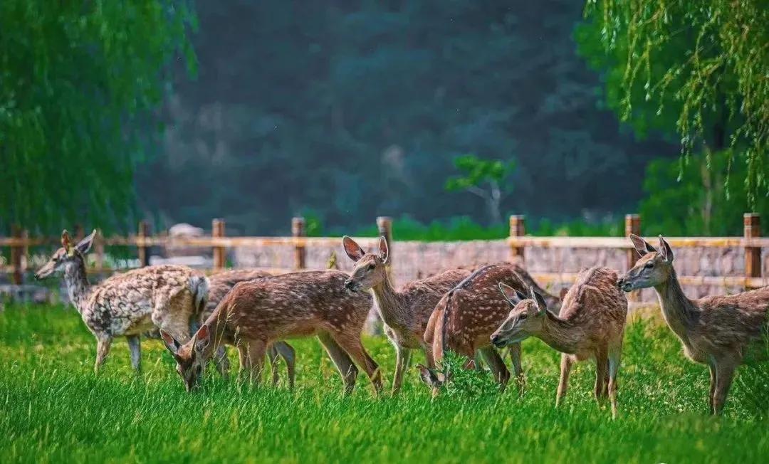 东南花都花博园景观,东南花都花博园