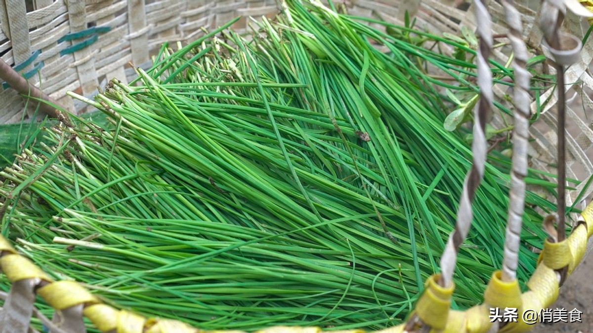 包韭菜肉馅饺子记住3放2不放,韭菜拌馅如何让韭菜不烧心