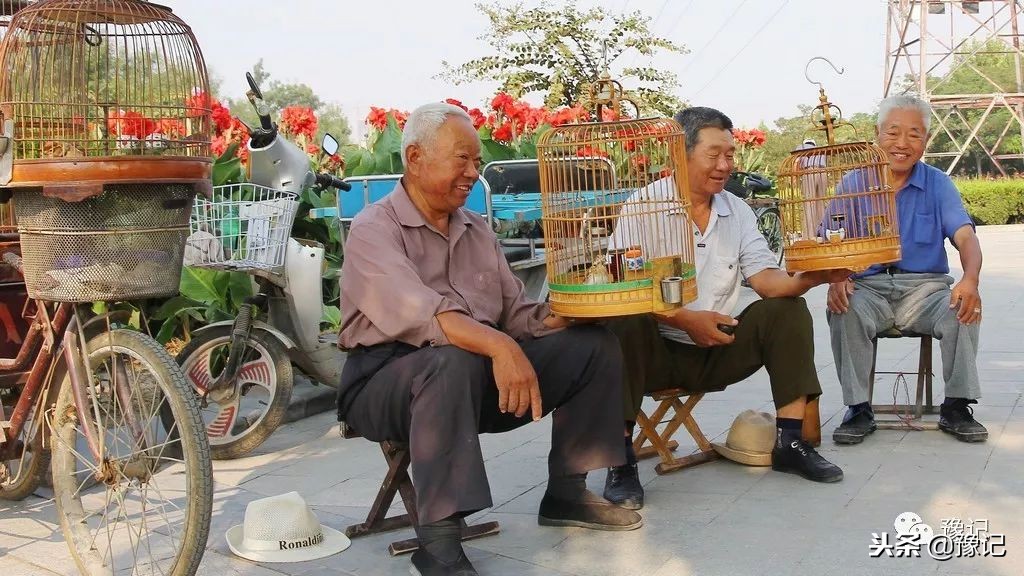 皇城根脚下，那是开封大爷遛鸟的天地