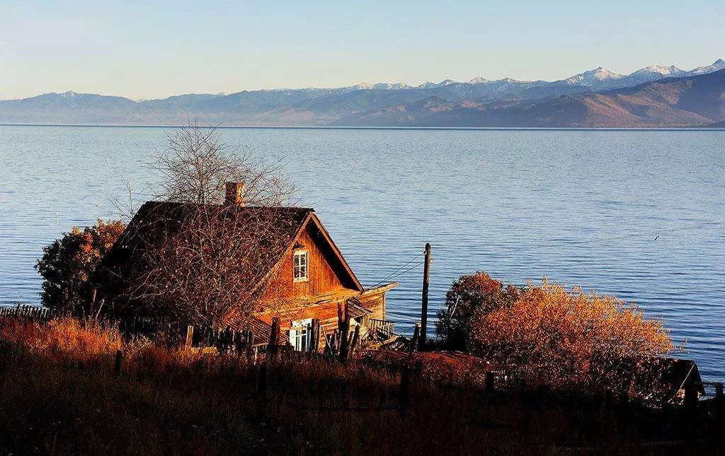 双十一代购降价,双十一代购商品降价吗