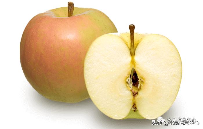 为什么日本苹果质量比中国的好,日本青森苹果种植