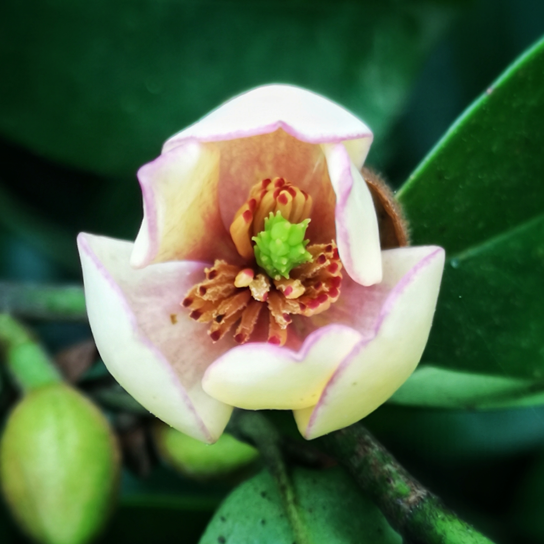 寻找身边的美丽身影,寻找身边美丽景色