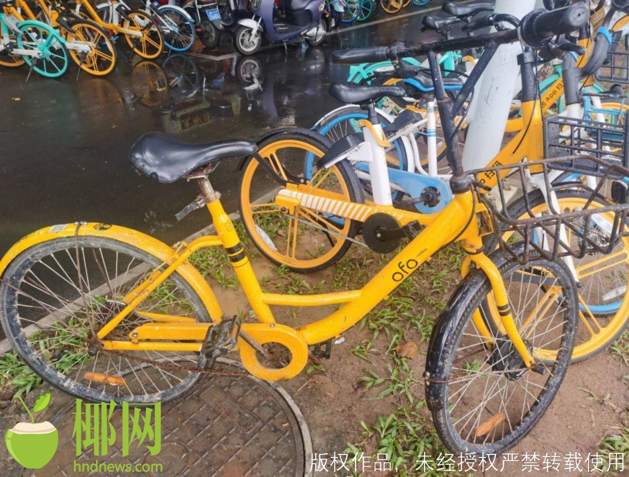 ofo小黄车免押金后怎么退押金,ofo小黄车怎样可以退押金