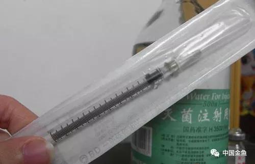 家养金鱼炸鳞怎么办,金鱼炸鳞可以用高锰酸钾吗