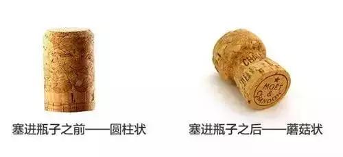 为什么香槟的瓶塞需要用铁丝固定,香槟的瓶塞是几层闭合式设计