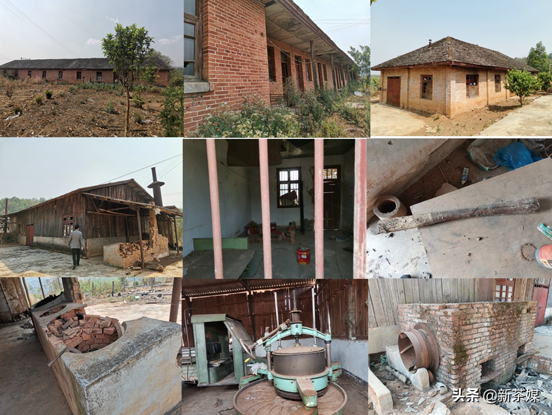 南糯山茶叶的故事,南糯山茶厂视频