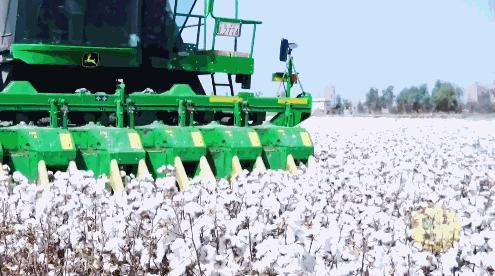 HM阿迪耐克等拒不悔改!官媒怒批吃饭砸锅,中国*意民**不可欺