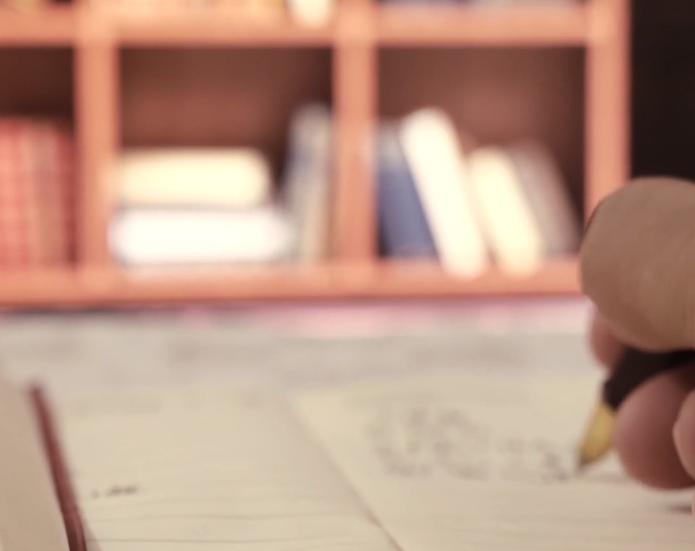 瑞典王储和威廉王子,瑞典王储