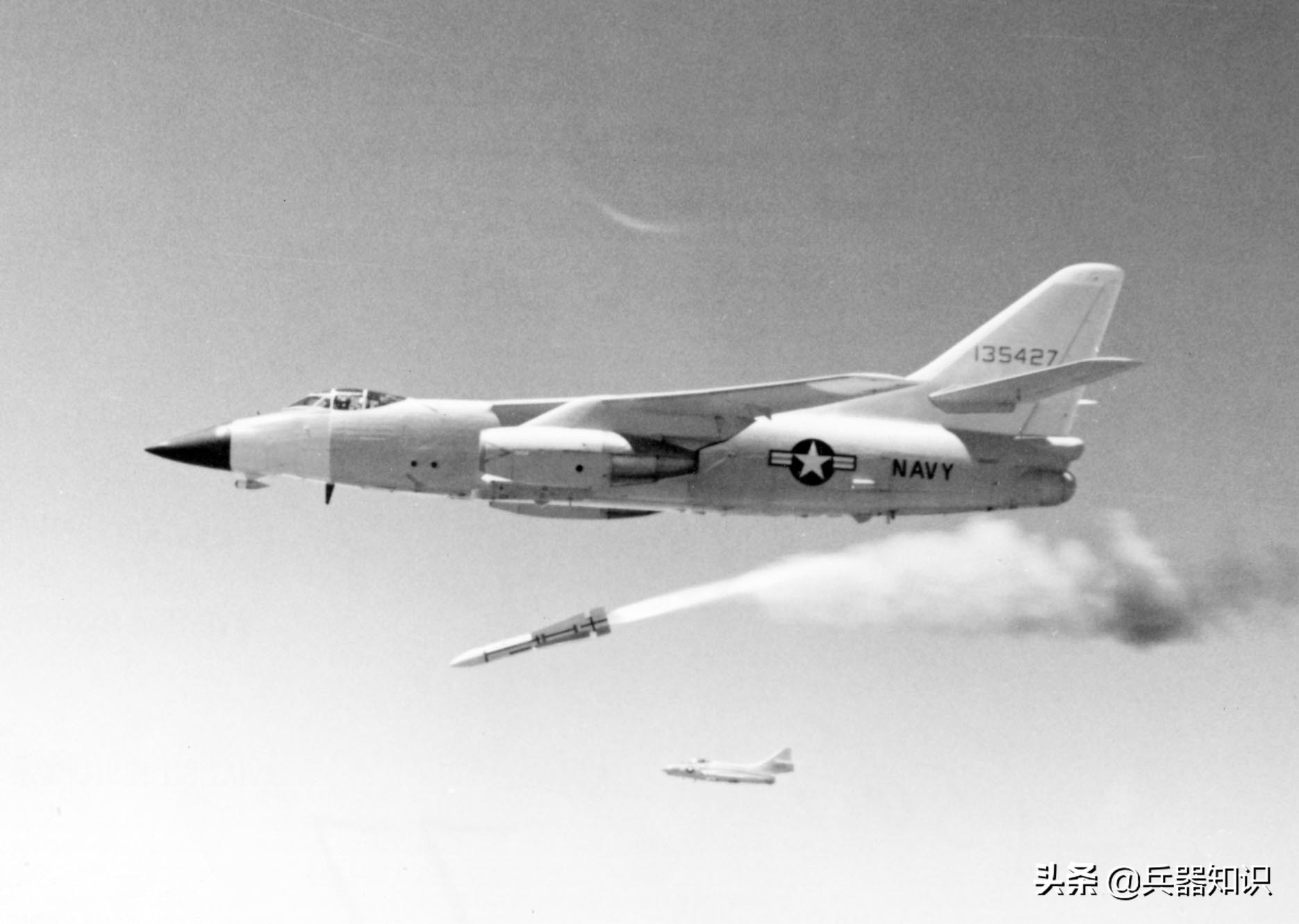 鸟中之王排行榜,鸟中之王