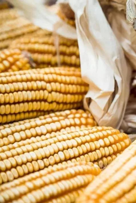 苏州国际禅意设计周,上海国际设计周苏州