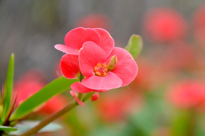 双子座喜欢开朗还是不开朗,双子座隐藏的另一种性格准到可怕