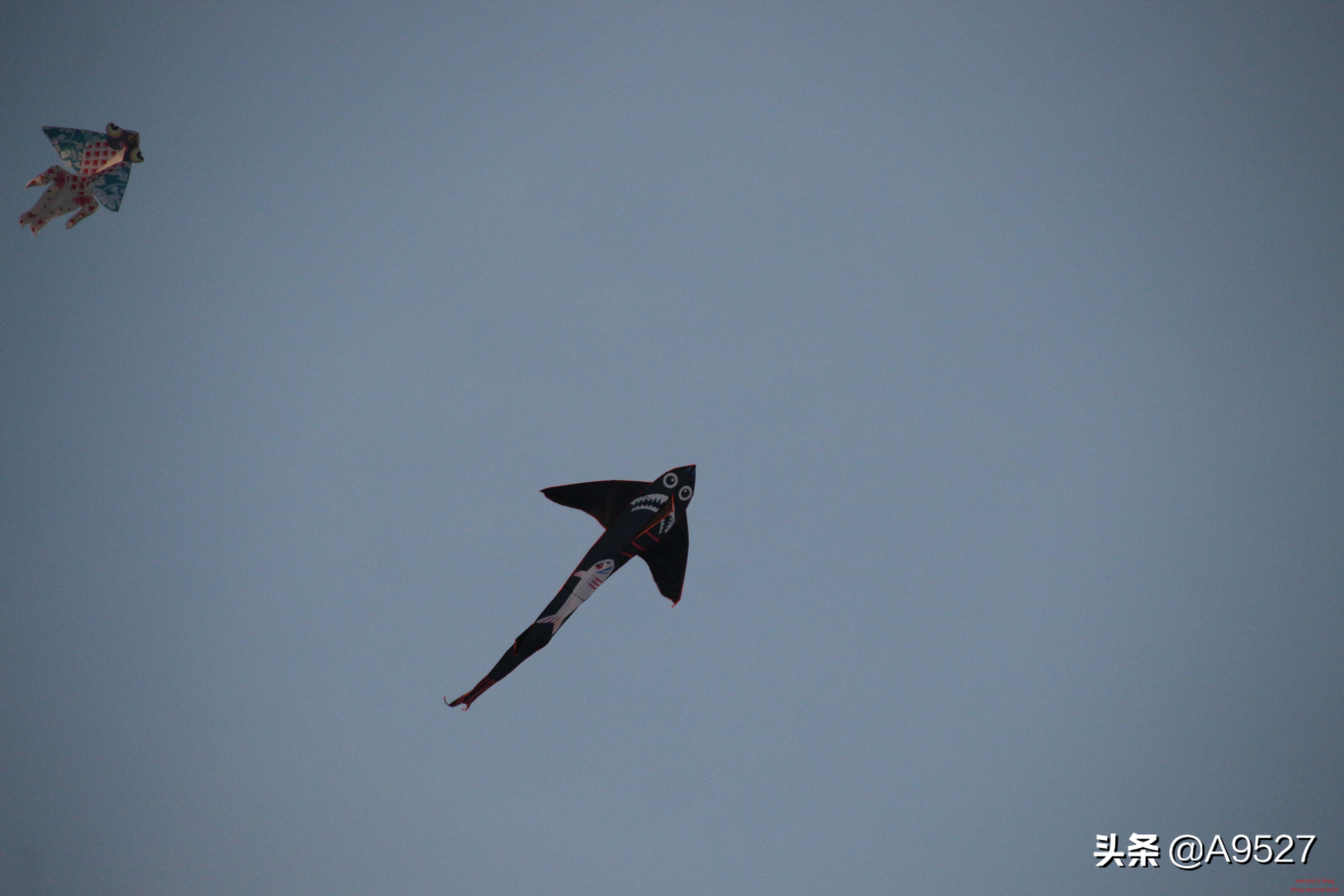 适马1770二代镜头素质如何,适马10-20镜头一代与二代