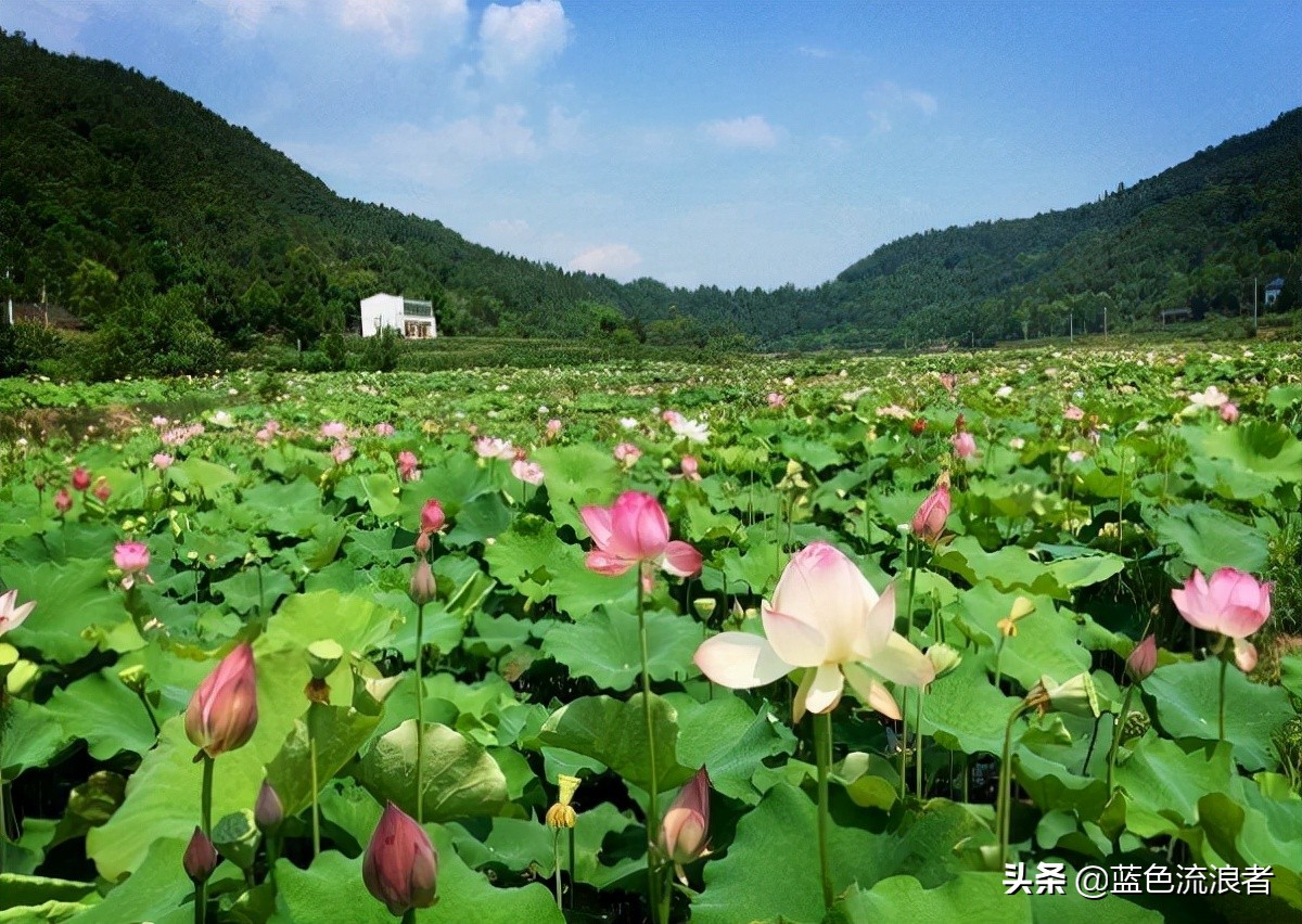 四川人推崇备至的县，是中国“长寿之乡”，境内小众景点颇受欢迎
