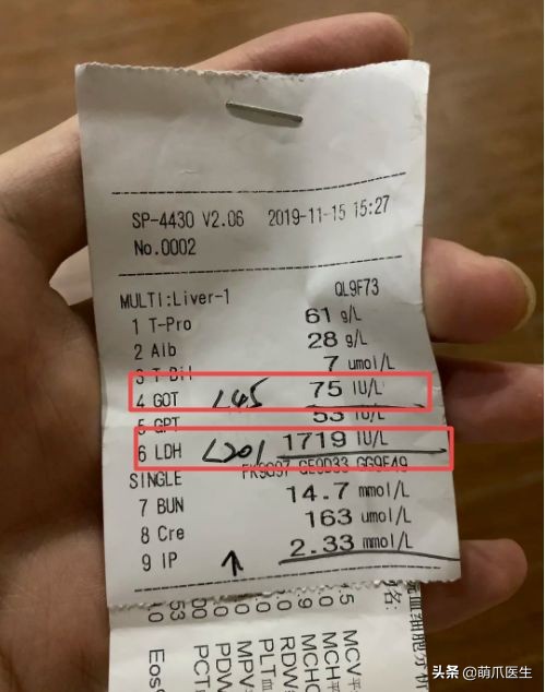 猫吃猫粮死了,go猫粮致猫死亡天猫国际回应