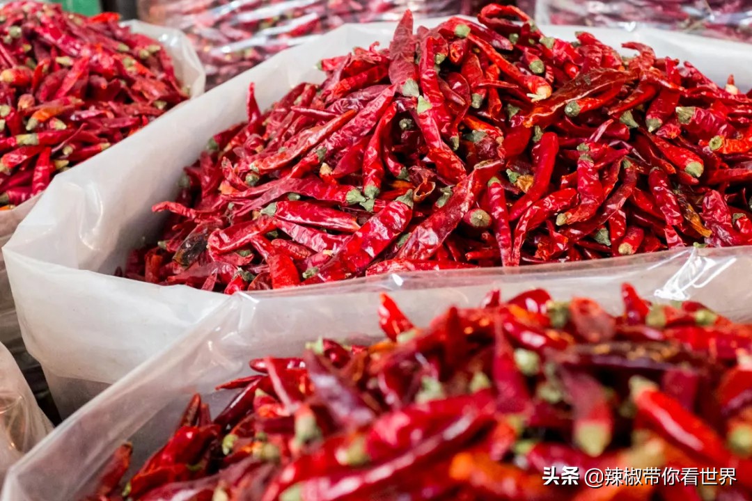 从西到东：贵州——沿河流“黔”行在这里一万种辣椒吃法向你奔来