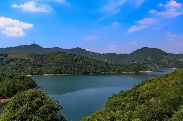 宁波踏青免费好去处,宁波踏青赏花最佳地