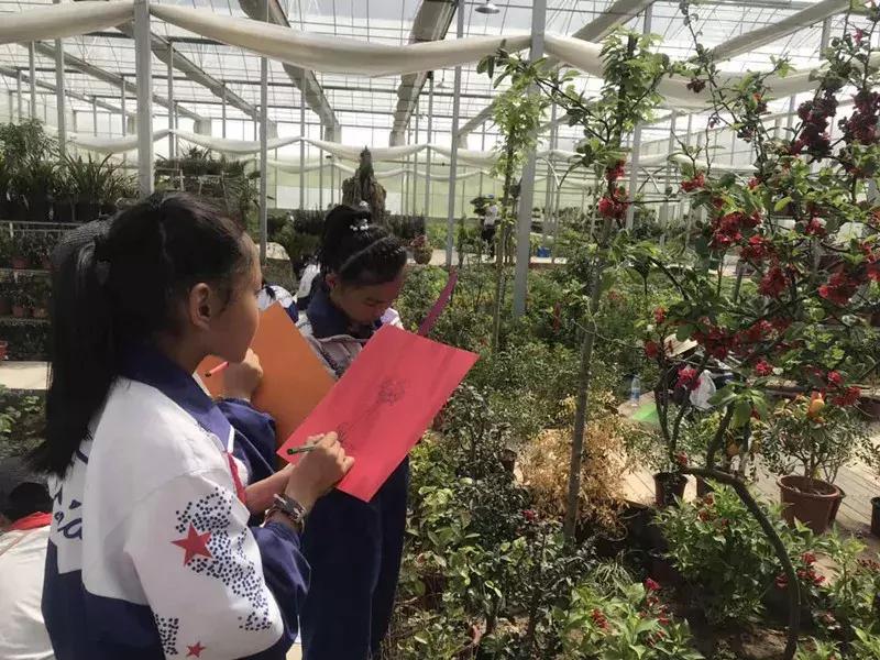 【益西户外营地教育】金川第六小学野狐湾自然研学营圆满结束！