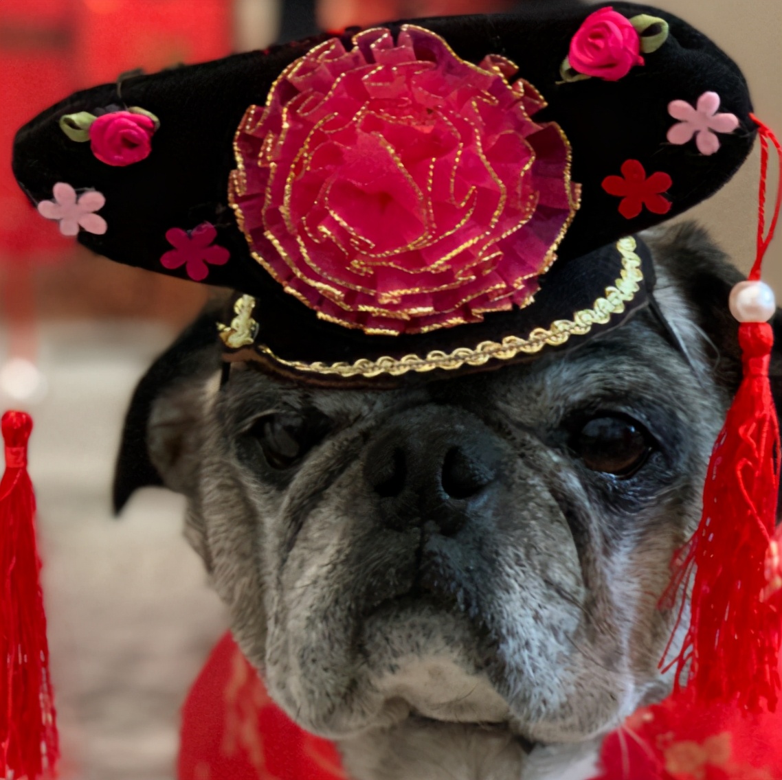 中国尿盆在美国高价热卖！放红酒当果盘，外国人这么好骗吗哈哈哈