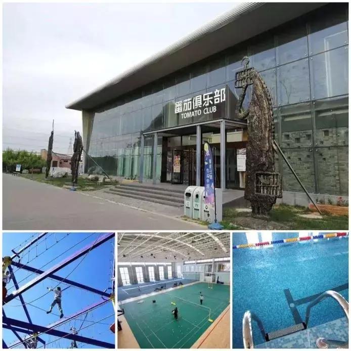 番茄如何赚钱,如何打造一个100亩盈利的农庄