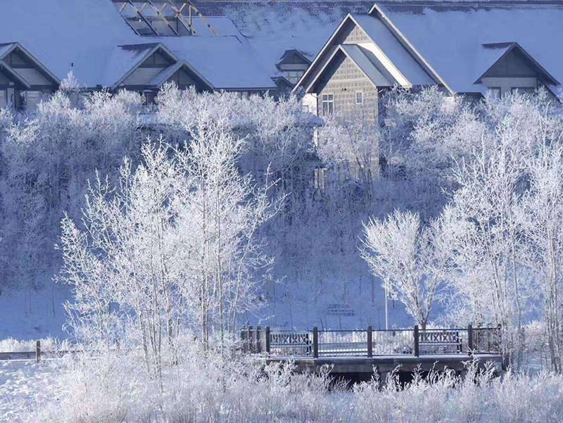 加拿大收到汇款的税务问题,加拿大领取cpp条件