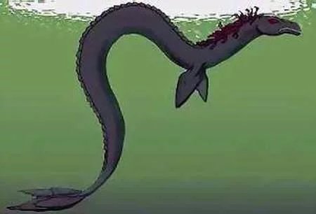 十大未知生物录像,地球十大巨型未知生物