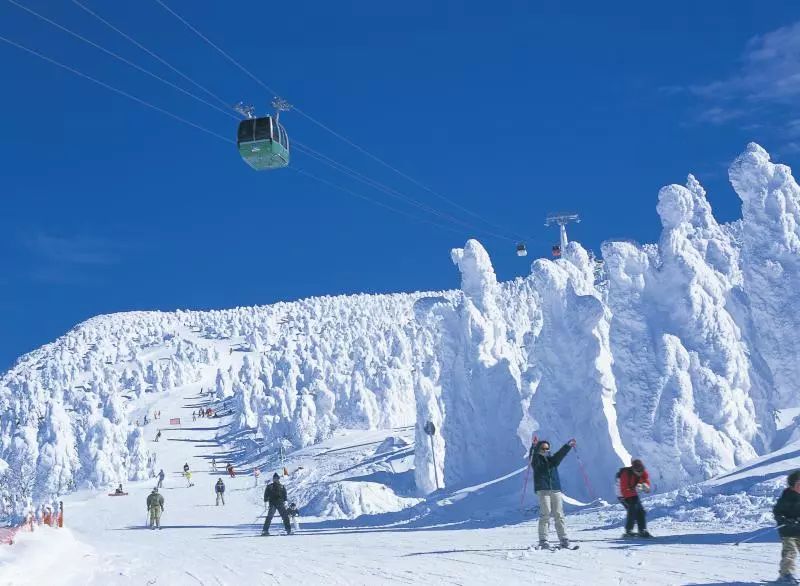“令和”的第一场春雪怎么玩？JAL中国的米总告诉您