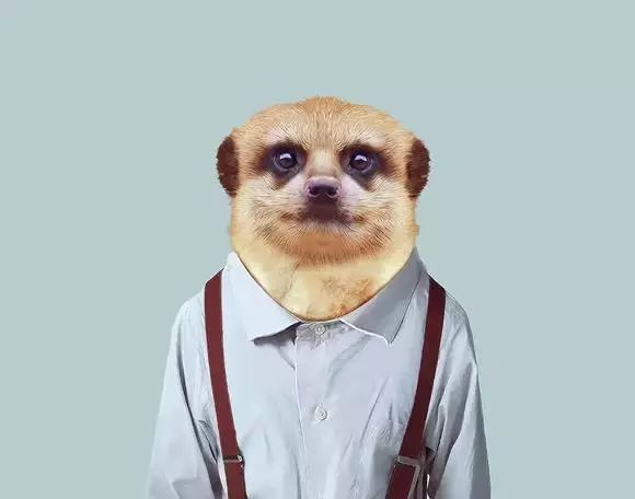 恭喜你！你被通缉啦！企鹅旅行网招人啦！