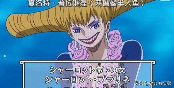 海贼王大妈篇布琳最后干了什么,海贼王大妈的39个女儿