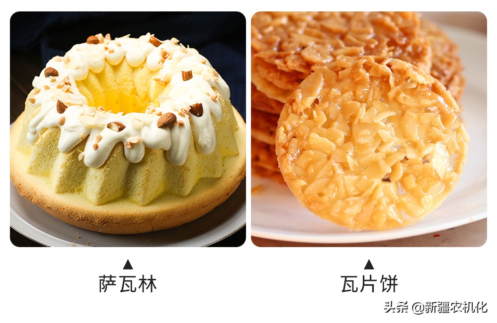 西域圣果巴旦木的功效,新疆西梅巴旦木