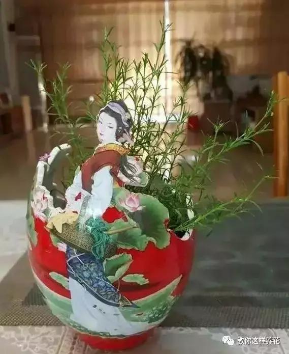 切割陶瓷酒瓶做花盆最简单的方法,没有工具怎么把陶瓷酒瓶弄成花盆