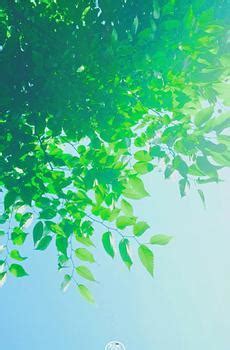 大学生误入传销窝点救出所有人,大学生误入传销组织路边获救