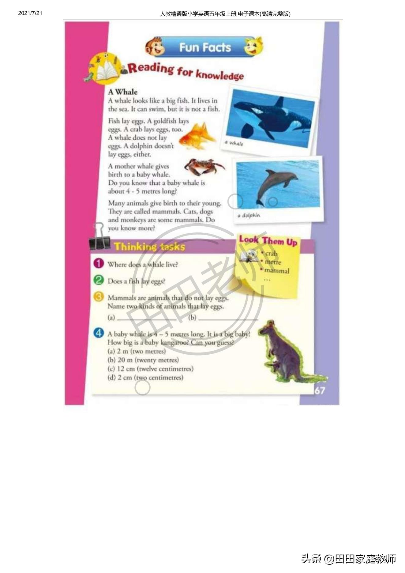 人教版英语五年级下册电子课本pdf,五年级上册joinin英语课本电子版