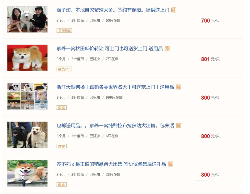 怎样避免买到星期猫,怎么判断是不是买到了星期猫