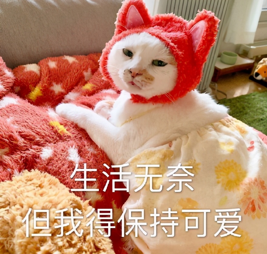 好困不想努力了表情包是什么意思,不想睡觉睡醒了就要上班了表情包