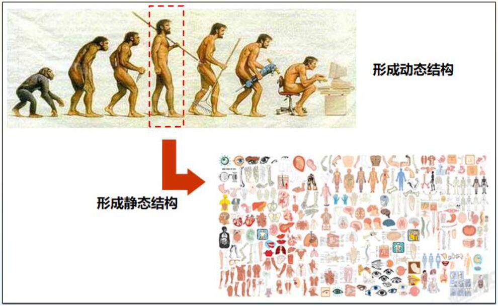 方案写作公文,方案写作ai