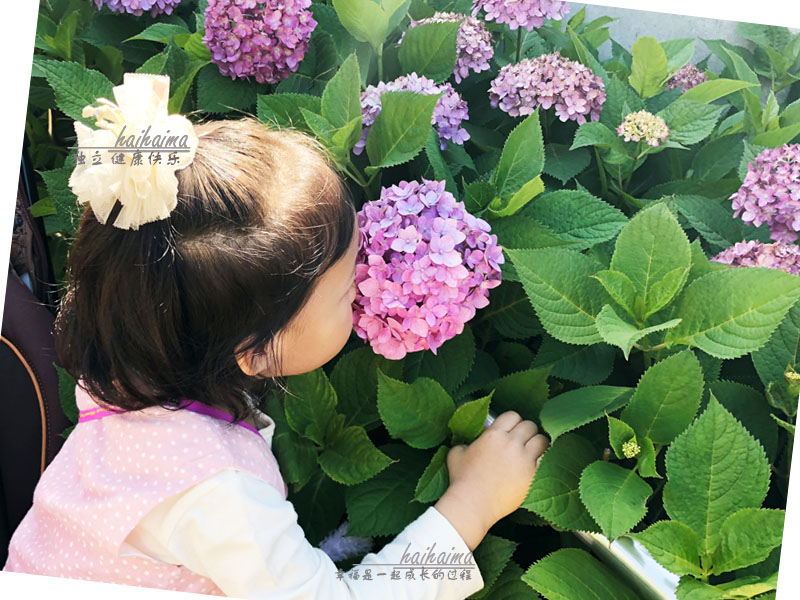 日本东京带娃旅游最好的时间,日本东京带娃