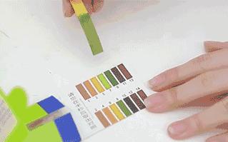 明星亲测力推同款洗发水,康王亲测