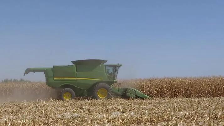 走向小康,走向小康完整版