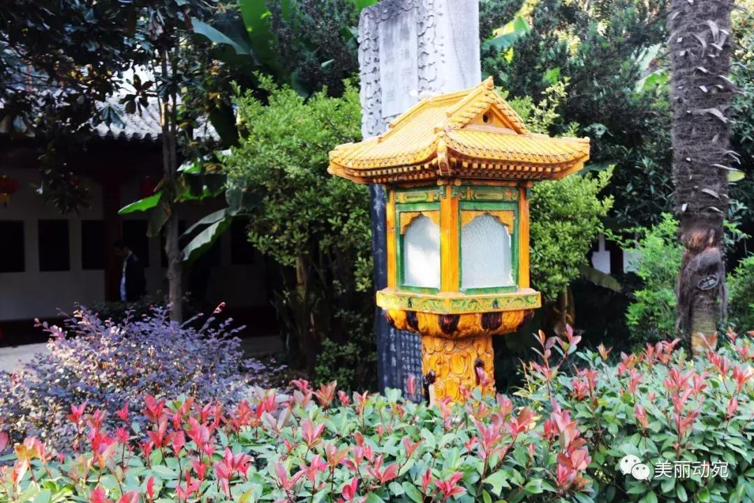 这本书,世上只有一本;这个人,也再也不会出现