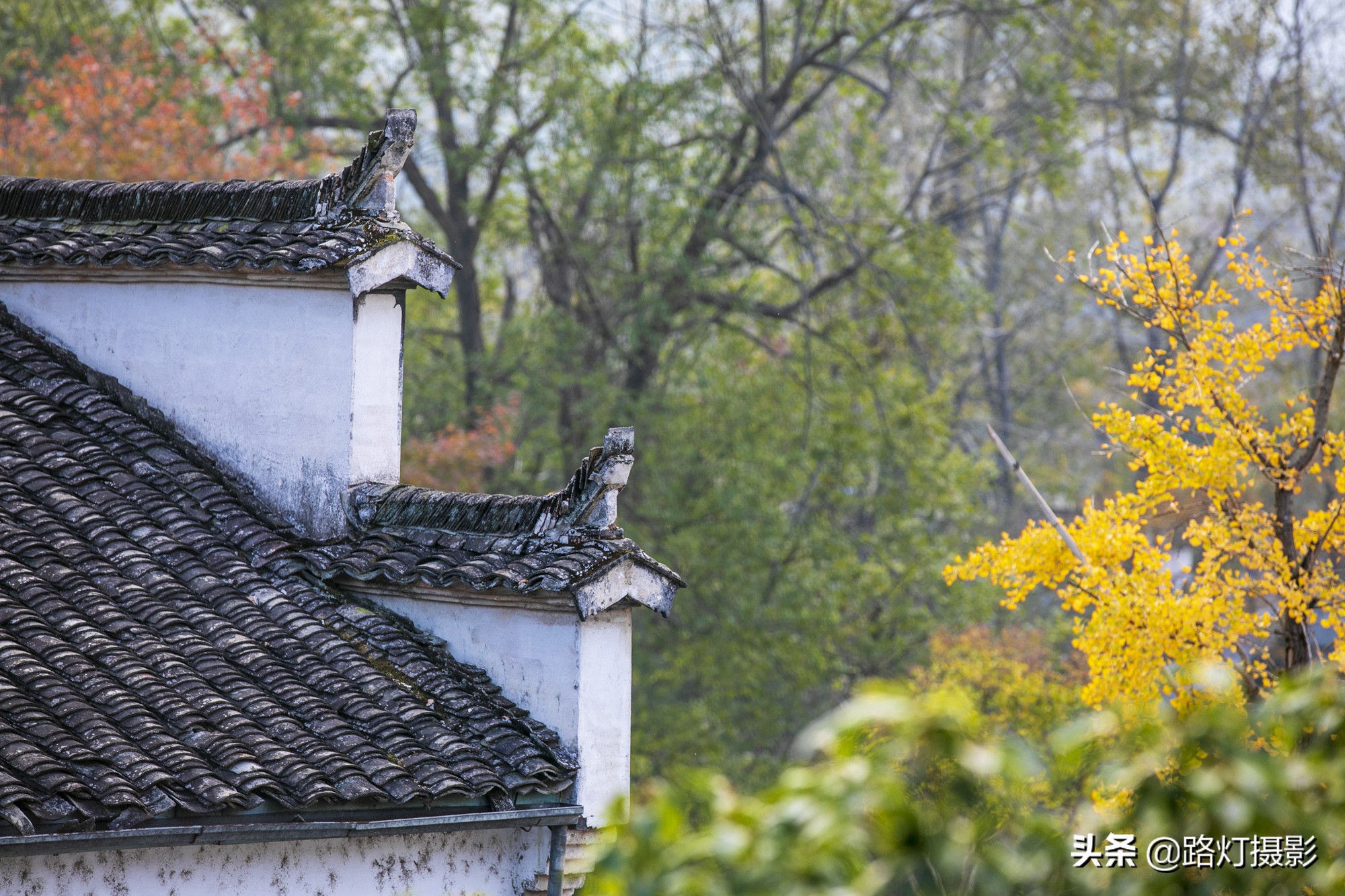 宣城，一座被遗忘的诗意风景之城，比徽州美百倍，终于上了热搜