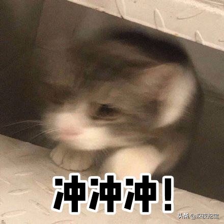 kiko好用的东西,kiko便宜好用吗