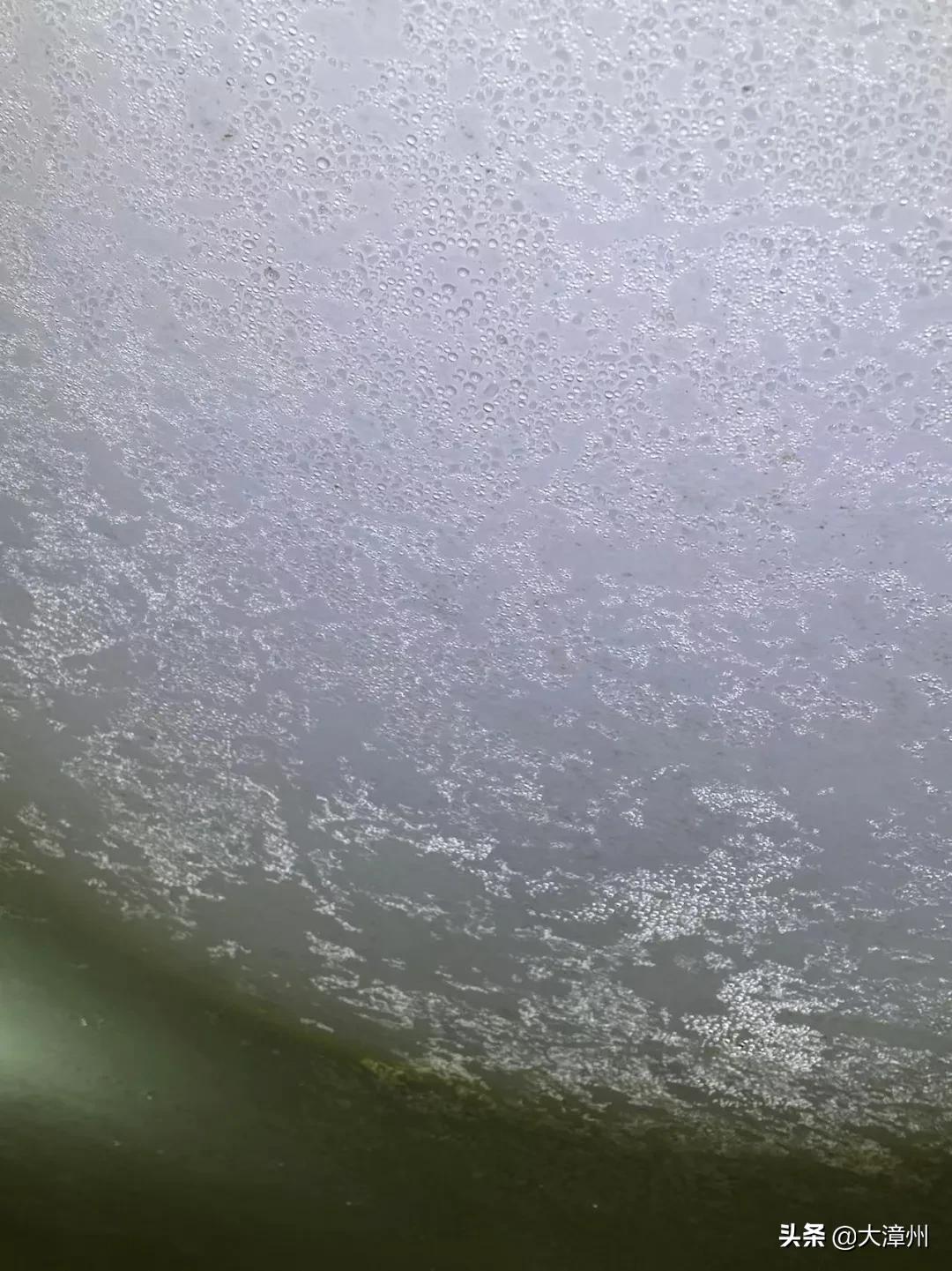 漳州市龙海石码美景,龙海石码全景美景