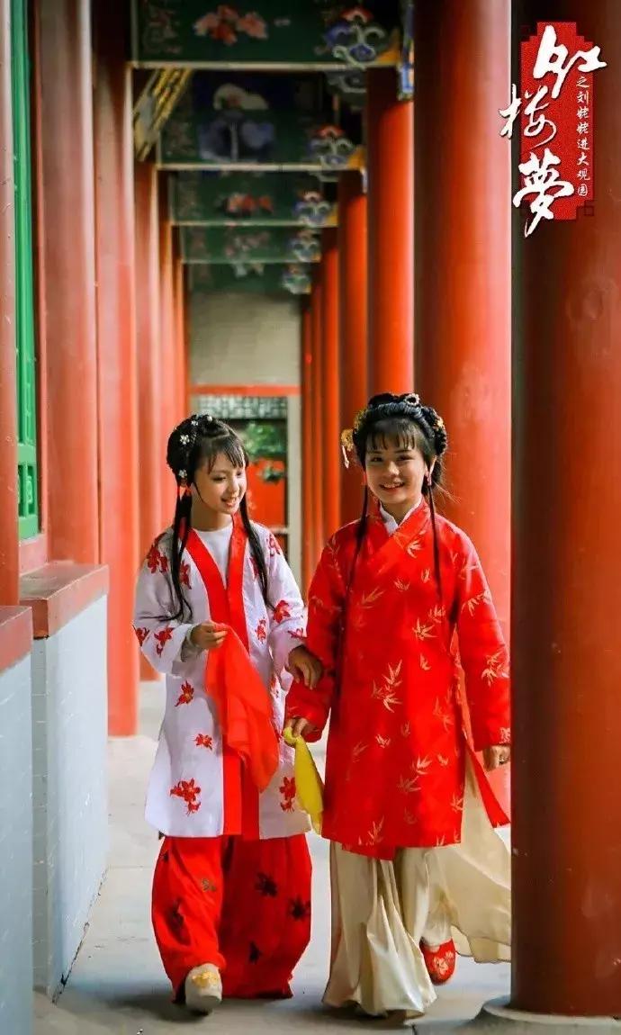 读红楼梦好多生僻字怎么办,红楼梦里你不认识的生僻字